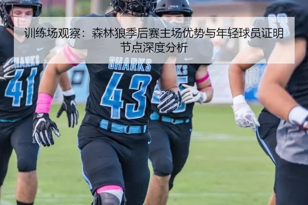 训练场观察：森林狼季后赛主场优势与年轻球员证明节点深度分析