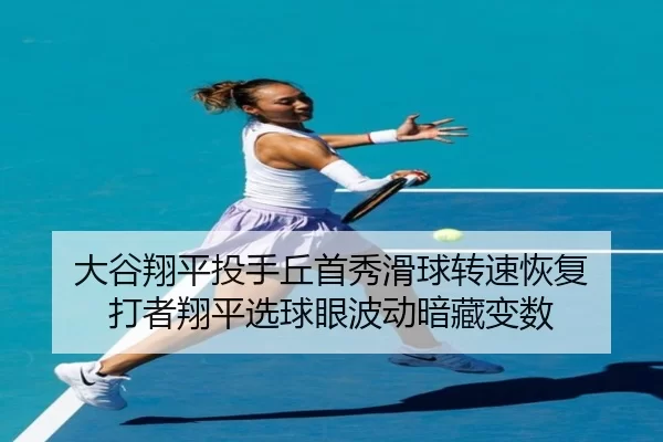 da-gu-xiang-ping-tou-shou-qiu-shou-xiu-hua-qiu-zhuan-su-hui-fu-da-zhe-xiang-ping-xuan-qiu-yan-bo-dong-an-cang-bian-shu-2-527.jpg